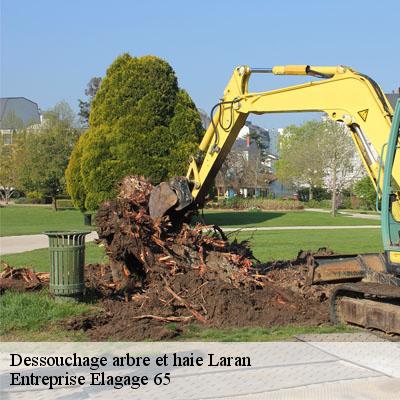 Dessouchage arbre et haie  laran-65670 Entreprise Elagage 65