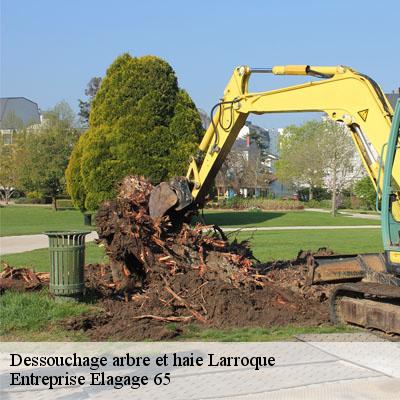 Dessouchage arbre et haie  larroque-65230 Entreprise Elagage 65