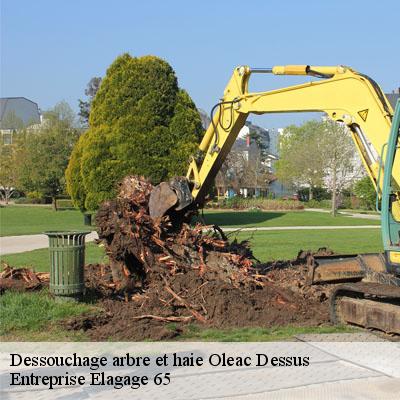 Dessouchage arbre et haie  oleac-dessus-65190 Entreprise Elagage 65