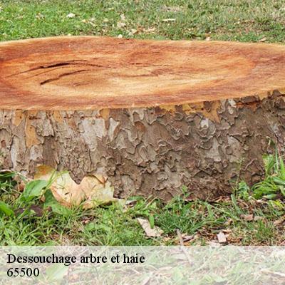 Dessouchage arbre et haie  65500