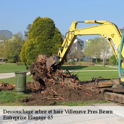 Dessouchage arbre et haie  villenave-pres-bearn-65500 Entreprise Elagage 65