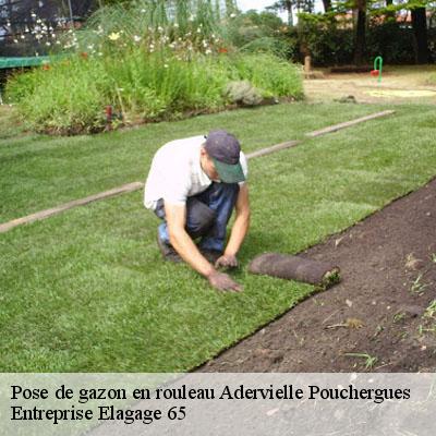 Pose de gazon en rouleau  adervielle-pouchergues-65240 Entreprise Elagage 65