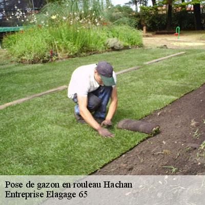 Pose de gazon en rouleau  hachan-65230 Entreprise Elagage 65