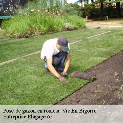 Pose de gazon en rouleau  vic-en-bigorre-65500 Entreprise Elagage 65