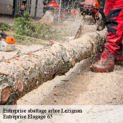 Entreprise abattage arbre  lezignan-65100 Entreprise Elagage 65