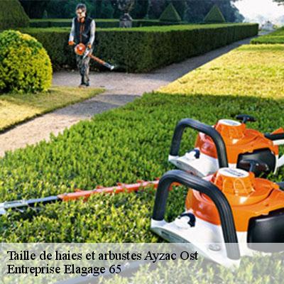 Taille de haies et arbustes  ayzac-ost-65400 Entreprise Elagage 65