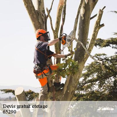 Devis gratuit etetage  65290